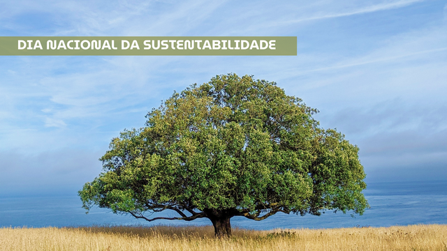Sustentabilidade em Ação: Inspiração para a Comunidade Escolar